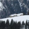 IMG_0367