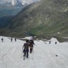 DSCN0234