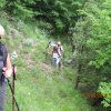 IMG_6523