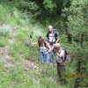 IMG_6524