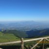 IMG_6554
