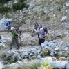 IMG_6558