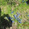IMG_6562