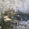 IMG_2687