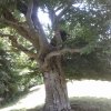 20150711_132710
