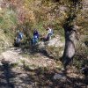 IMG_20151024_141212