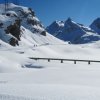 IMG_4504