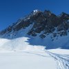 IMG_4541