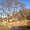IMG-20161212-WA0028
