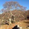 IMG-20161212-WA0031