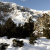 IMG_20170114_105501