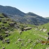IMG_8046