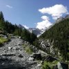 IMG_20170708_100418