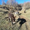 IMG_20171209_145130