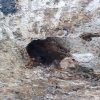 IMG-20190425-WA0032