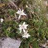 IMG_20190914_152008-001