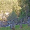 IMG-20250505-WA0043