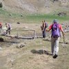 IMG_20250504_111449