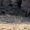 IMG_20250308_092756