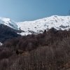 IMG_20250308_135142