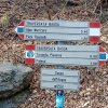 IMG_20250308_150710
