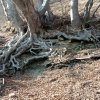 IMG_20250308_151316