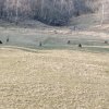 IMG_20250308_160740