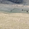 IMG_20250308_160744