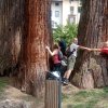 IMG_20250608_121322