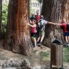 IMG_20250608_121330