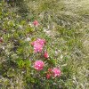 IMG-20250720-WA0011