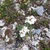 IMG-20250720-WA0013