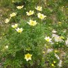 IMG-20250720-WA0014